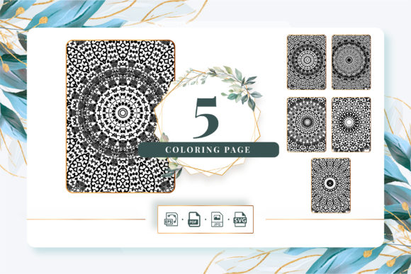 A Designer's Review: Coloring Pages Graphics Bundle KDP Pack 229