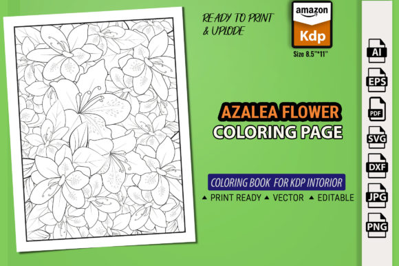 A Practical Review of Flower Coloring Page Graphics for Adult KDP and Product Creation