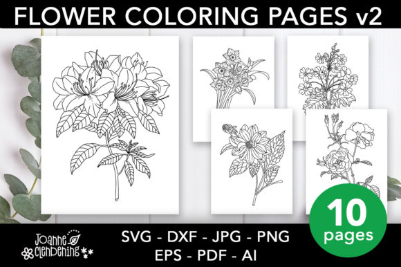 Botanical Graphics: Evaluating a Vintage Flower Coloring Pages Bundle