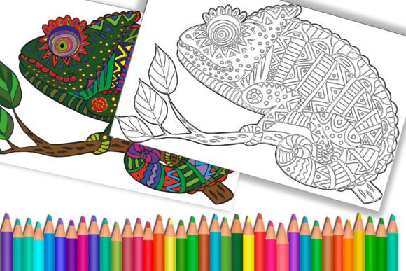 Coloring Page Chameleon for Adults: Embroidery Review