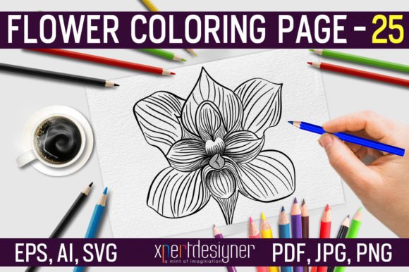 Hand Drawn Flower Coloring Page 25: Graphics & Coloring Amp